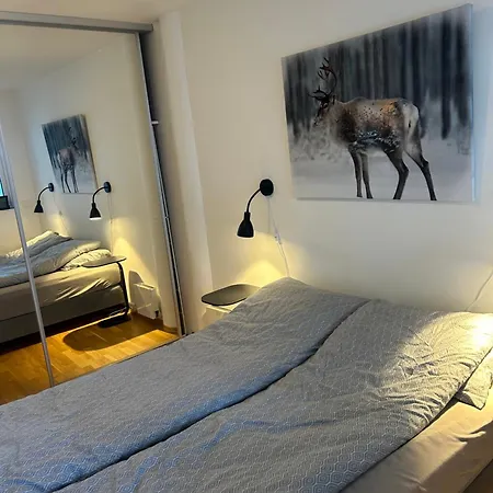 Flott Midt I Sentrum *